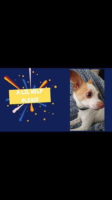 Lil Help😂