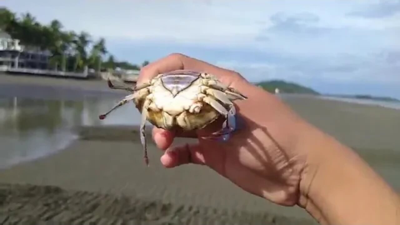 Mayong aga sa tanan!! Sitwasyon sang Barangay Baybay, Roxas City
