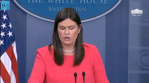 Sarah Sanders: President's 'Animal' Term Doesn't Go 'Far Enough'