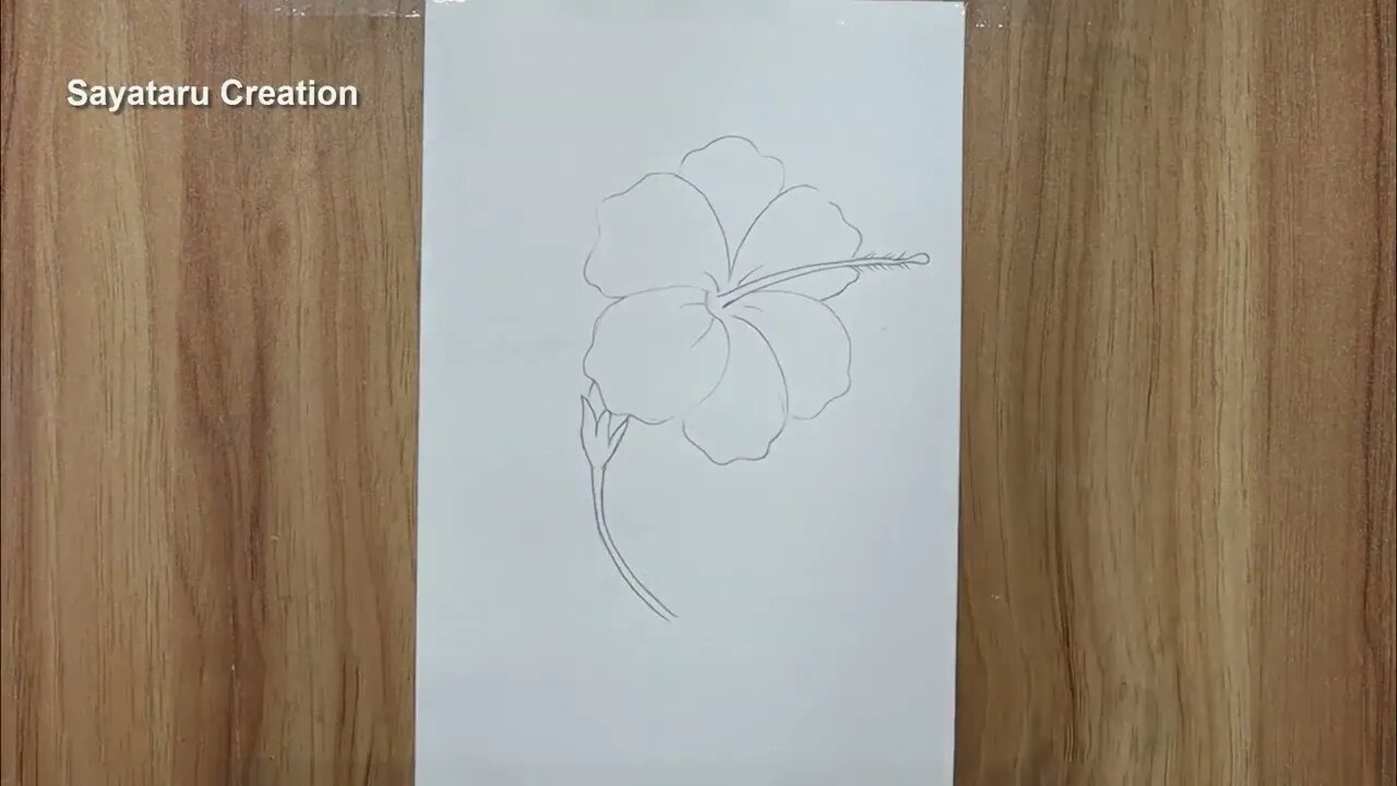 How to draw a hibiscus flower step by step pencil sketch