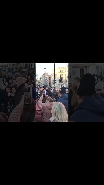 Make way dog barkes at kings guard #thekingsguard