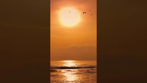 Alan Watts - To Thingify - Bite Sized Wisdom - Truth Seekers #shorts