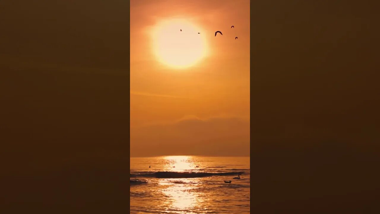 Alan Watts - To Thingify - Bite Sized Wisdom - Truth Seekers #shorts