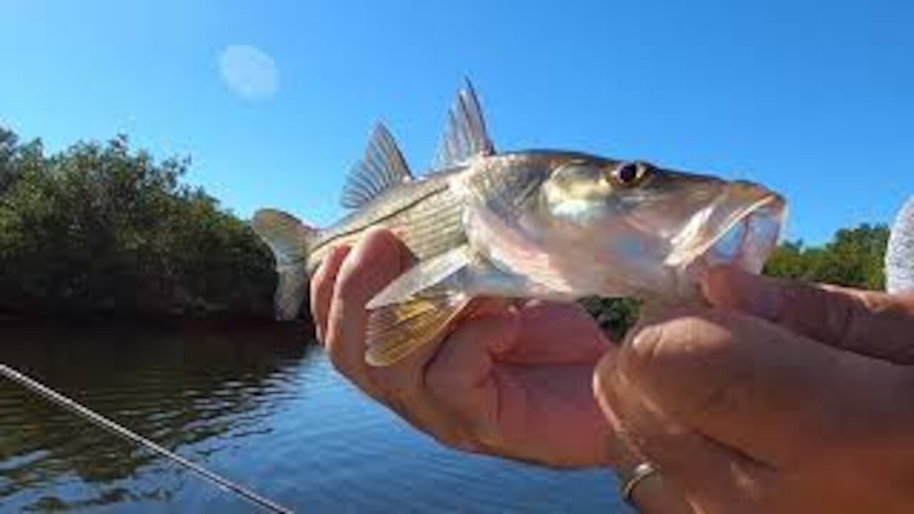 Solo Slam at Bay Pines on a Chilly Sunny day 4k