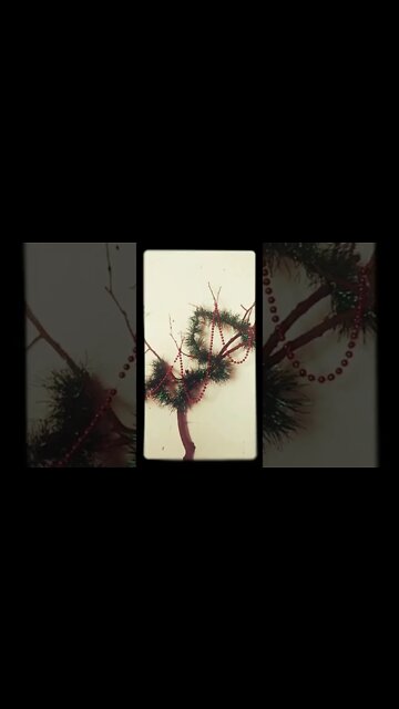 El arbolito de Navidad se arma el 8 de diciembre! (2022) (NO ME QUEDÓ LINDO 🤦🏿🤪)