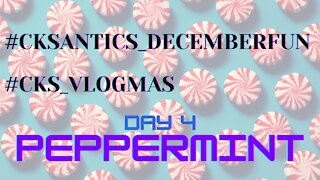 CK's Antics December Fun #VLOGMAS Day 4