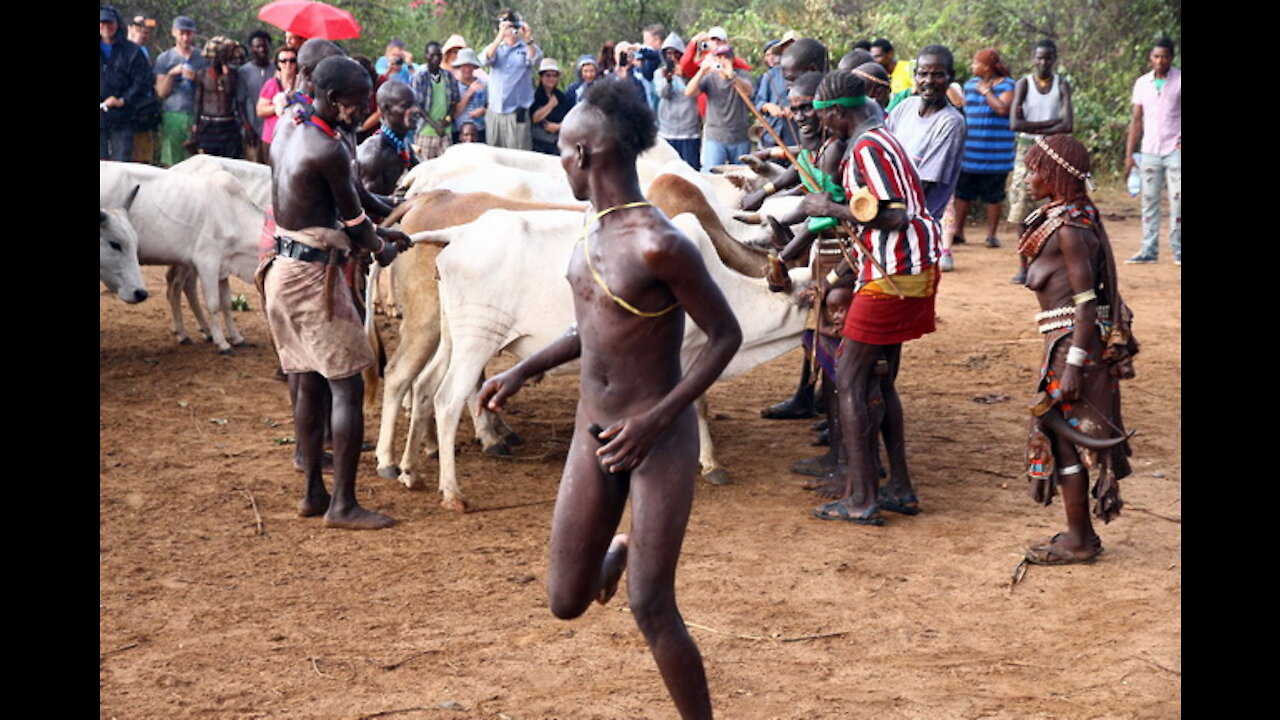 Lol Africa cow men watch this video to the end