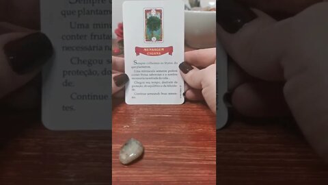 08/11 Conselho do Baralho Cigano #baralhocigano #conselhocigano