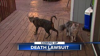 Farmington Hills couple files lawsuit after record-holding cats killed in fire