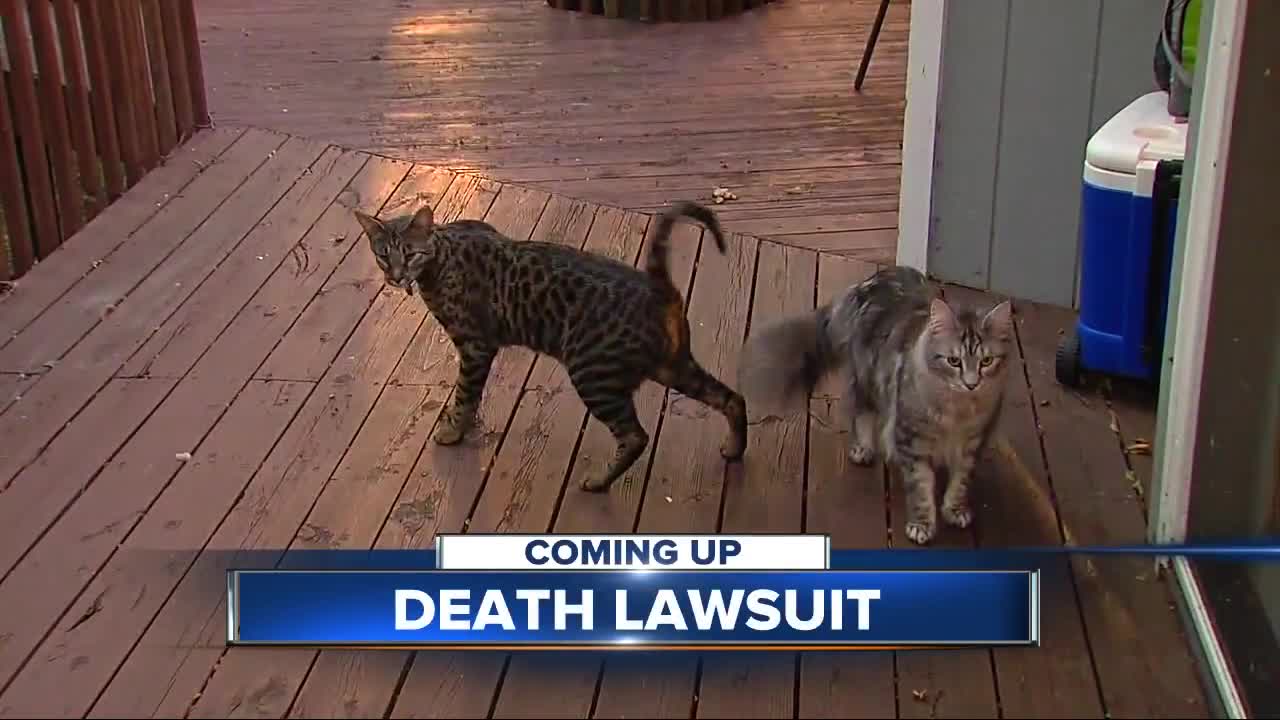 Farmington Hills couple files lawsuit after record-holding cats killed in fire