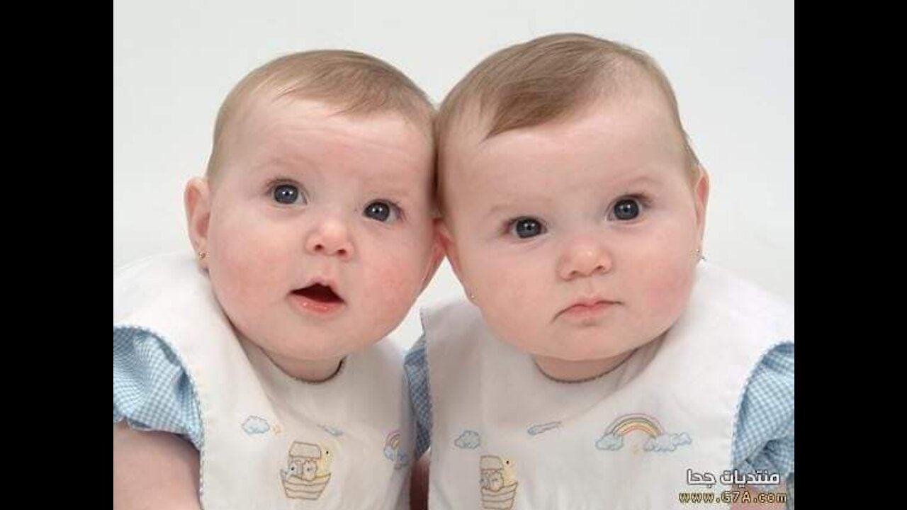The most beautiful video of the children of twam playing with the two children of twam funny senten