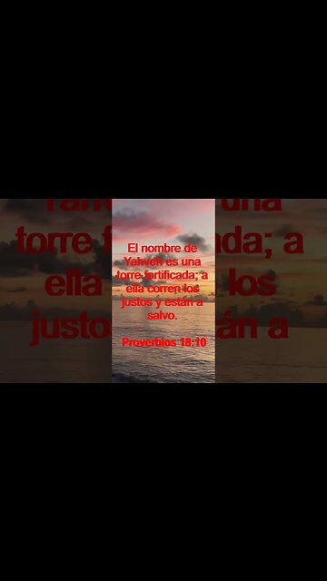 Verso Del Día | Lectura Inspiradora Para Empezar El Día. | 29