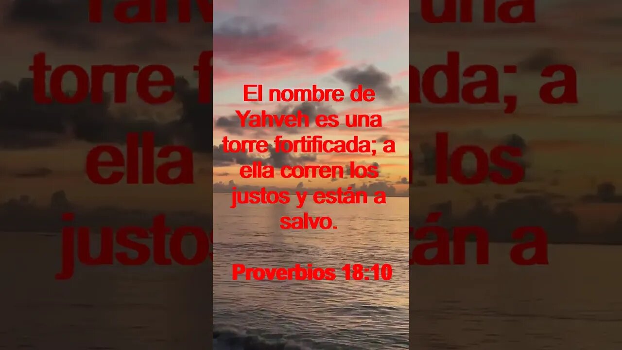 Verso Del Día | Lectura Inspiradora Para Empezar El Día. | 29