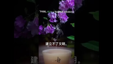 一句话开悟20220311