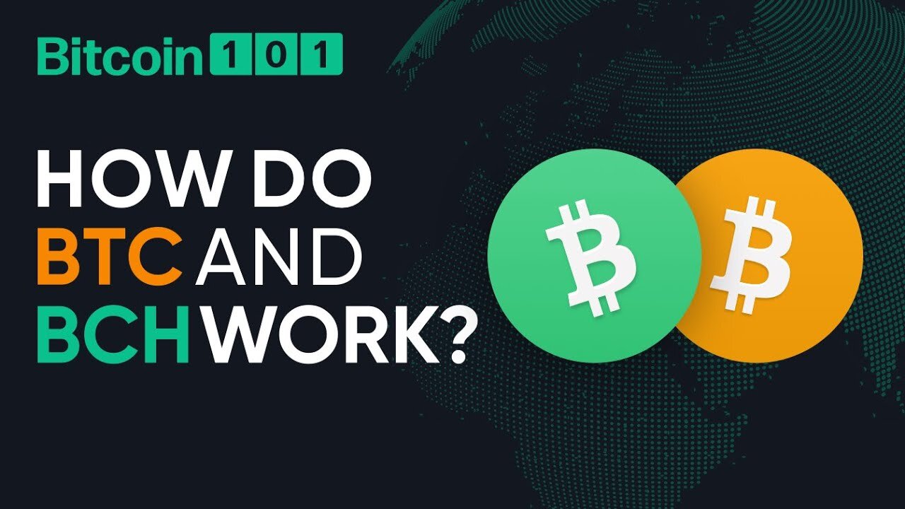 How do Bitcoin and Bitcoin Cash work? - Bitcoin 101