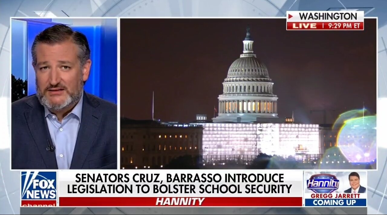 Ted Cruz To Democrats On Gun Bill: Target Criminals NOT Civilians