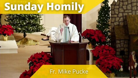 Homily for the Feast of the Holy Family of Jesus, Mary and Joseph - Father Mike Pucke