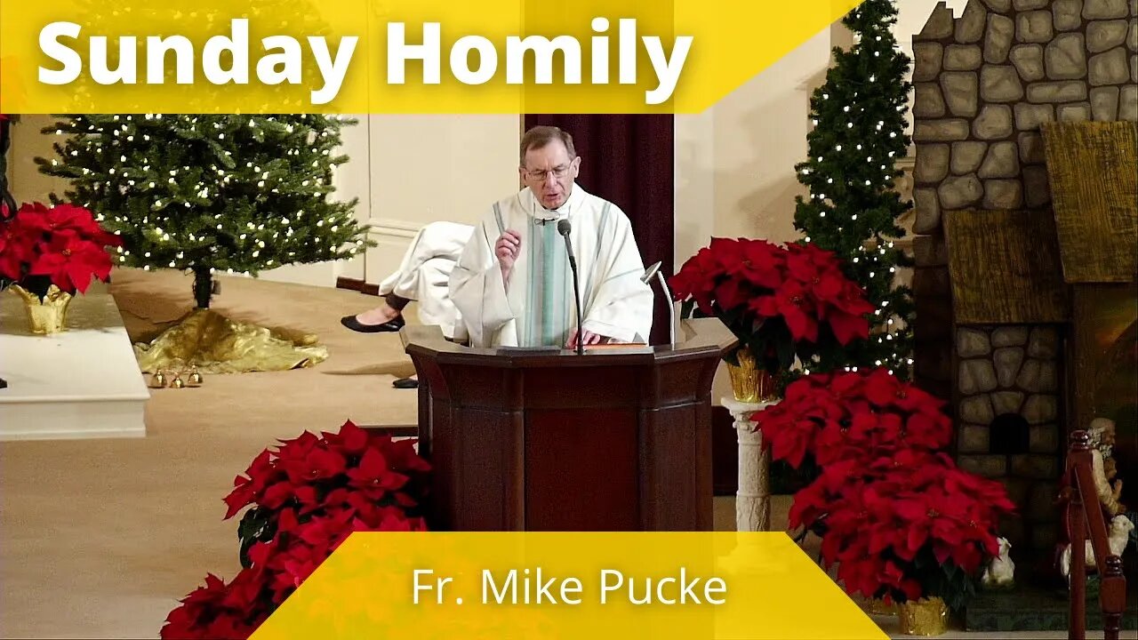 Homily for the Feast of the Holy Family of Jesus, Mary and Joseph - Father Mike Pucke