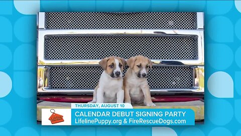 Calendar Debut // Lifeline Puppy