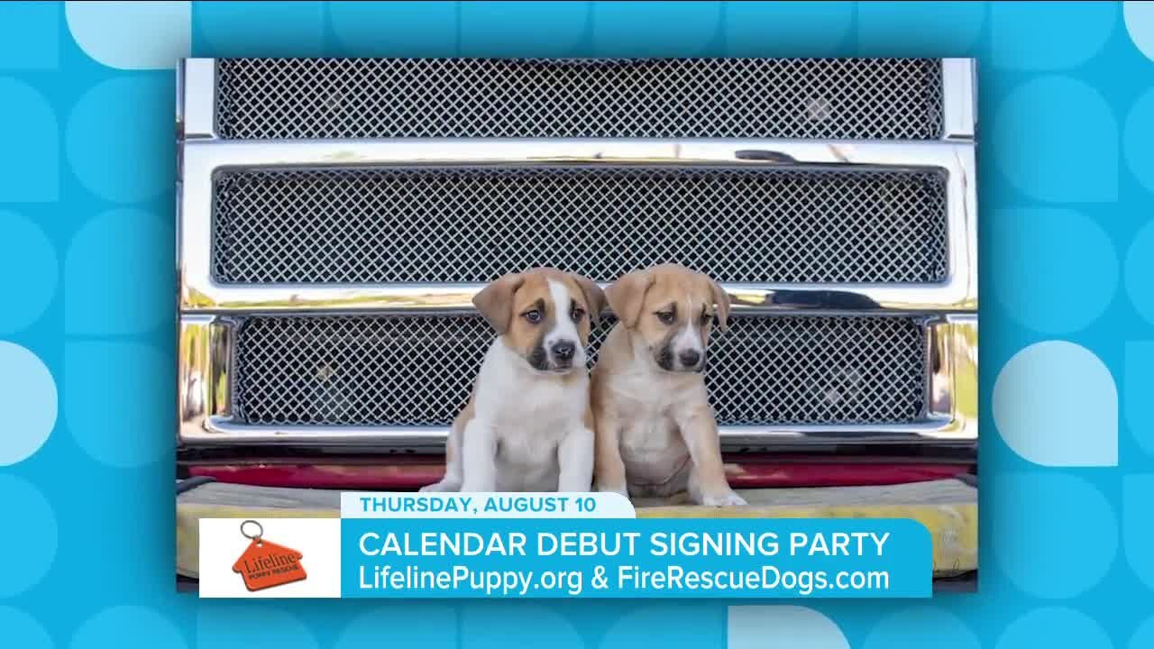 Calendar Debut // Lifeline Puppy