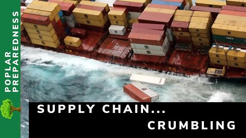 Supply Chain Collapse Intensifying (November 2021)