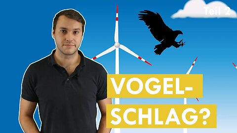 Vogelkiller Windkraftanlage? - Klimawissen - kurz&bündig