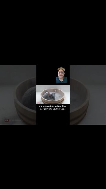 Chinchillas die if they take a bath