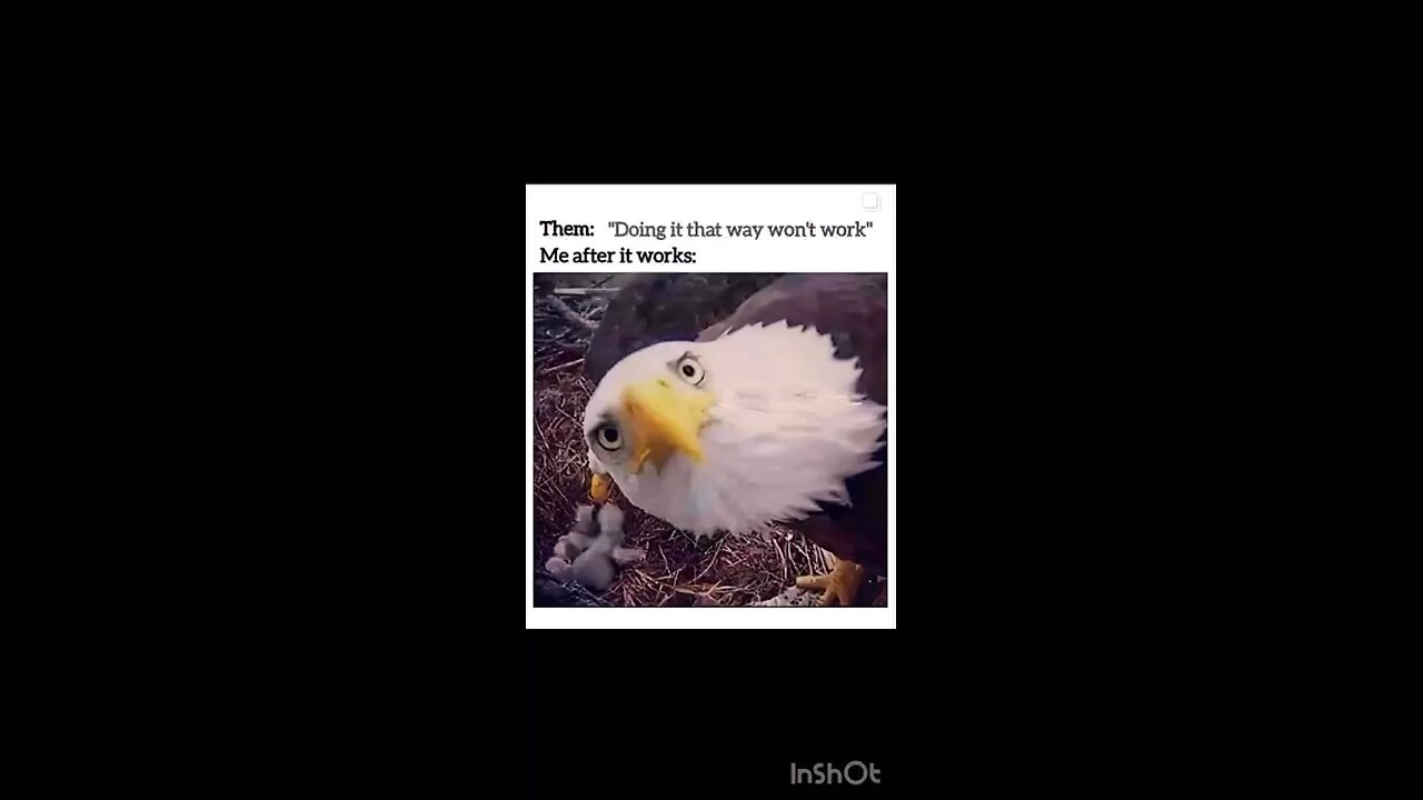 Have some golden posts to share