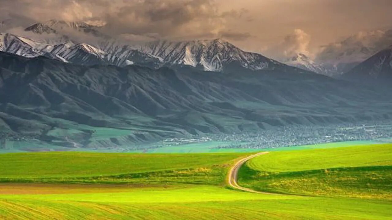 Serenade of the Senses Immersing in Nature's Aromas