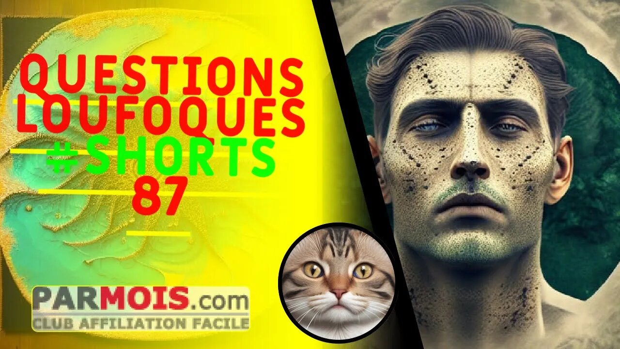 Questions Loufoques #shorts 87