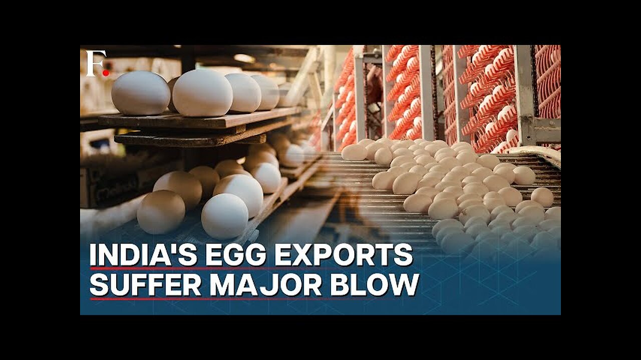 Oman Blocks Indian Egg Imports Causing A Major Blow To Poultry Industry