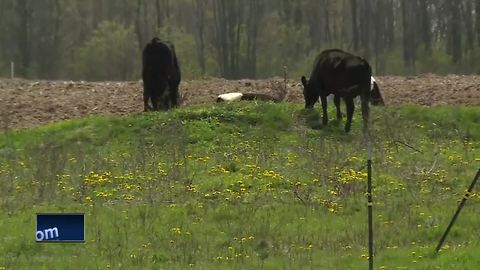 Manure irrigation ordinance passed in Kewaunee County