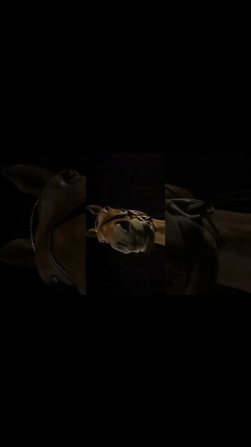 Checking My Socials Since Going Viral