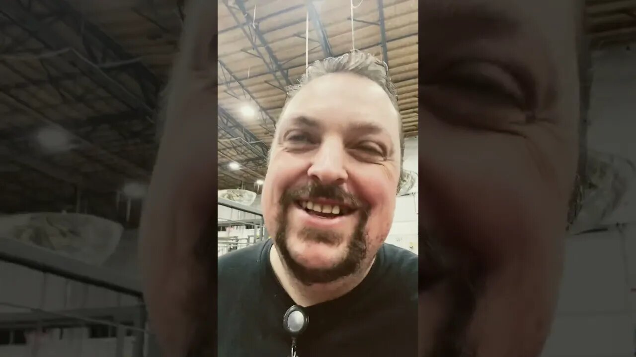 How The Military Proposes 🤣