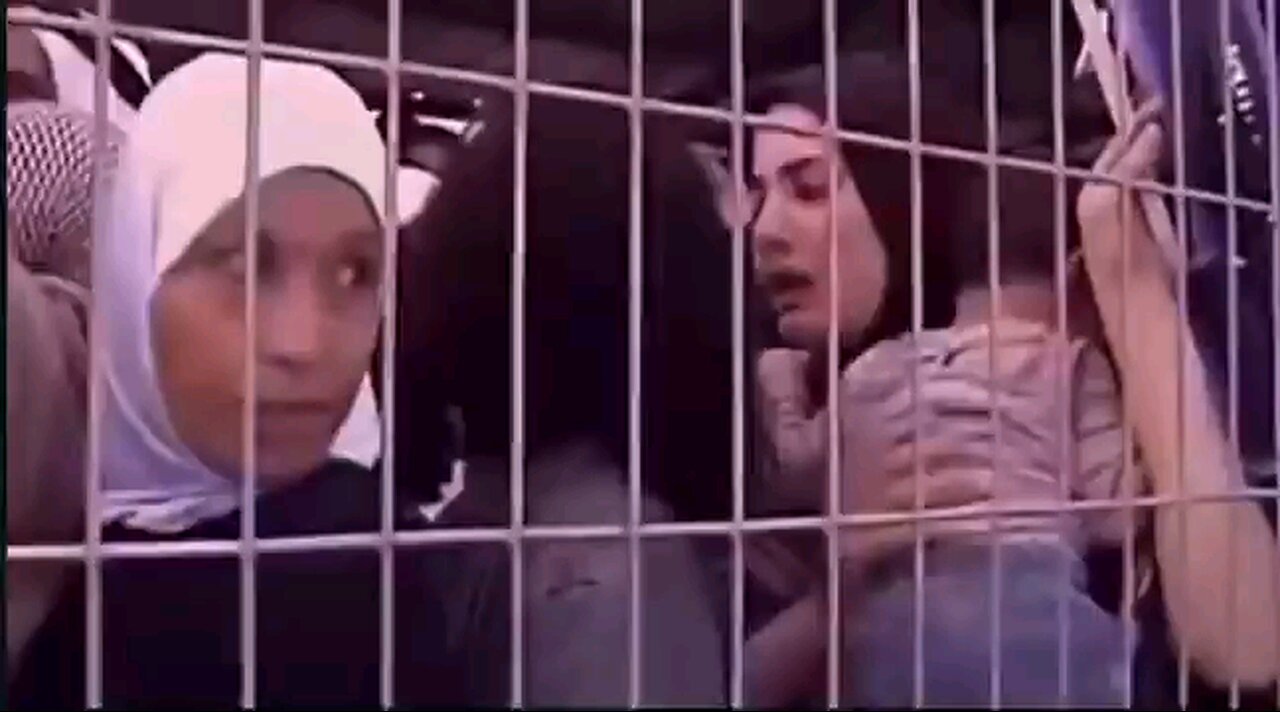 More than 60 women gave birth at check points because Israelis wouldn’t let them go through.