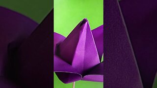 Origami Tulip 🌷- Easy Paper Crafts - Shorts Ideas 💡