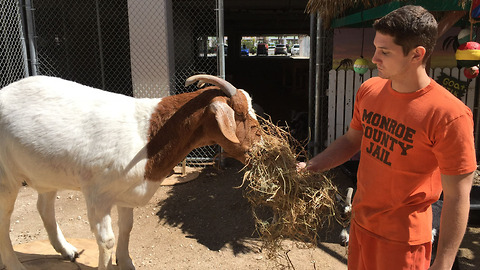 Take A Look A These Prison Inmates Who Run A Zoo