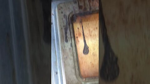 Oven is Clean thanks