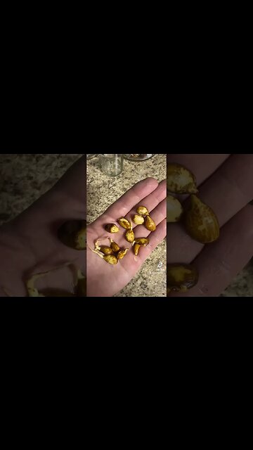 How To Grow Peach Trees From Seed Part 2: Easiest Method