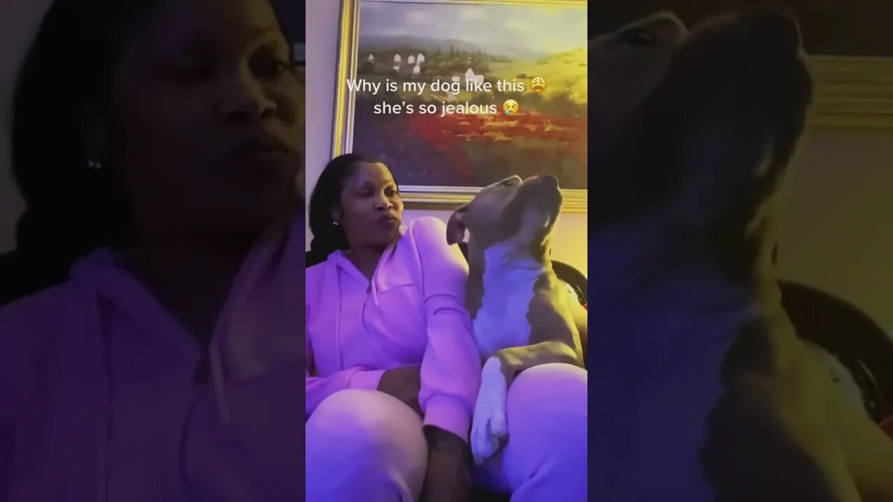 The dog 🐕 don’t want non of that in his presence! 😂😂 #shorts #viral #subscribe #reels #fyp #love