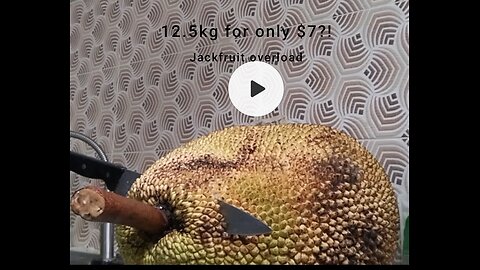 Frustrated Fruit Ninja| Jackfruit slicing| $7 for almost 13kg fruit| Fruit 2024