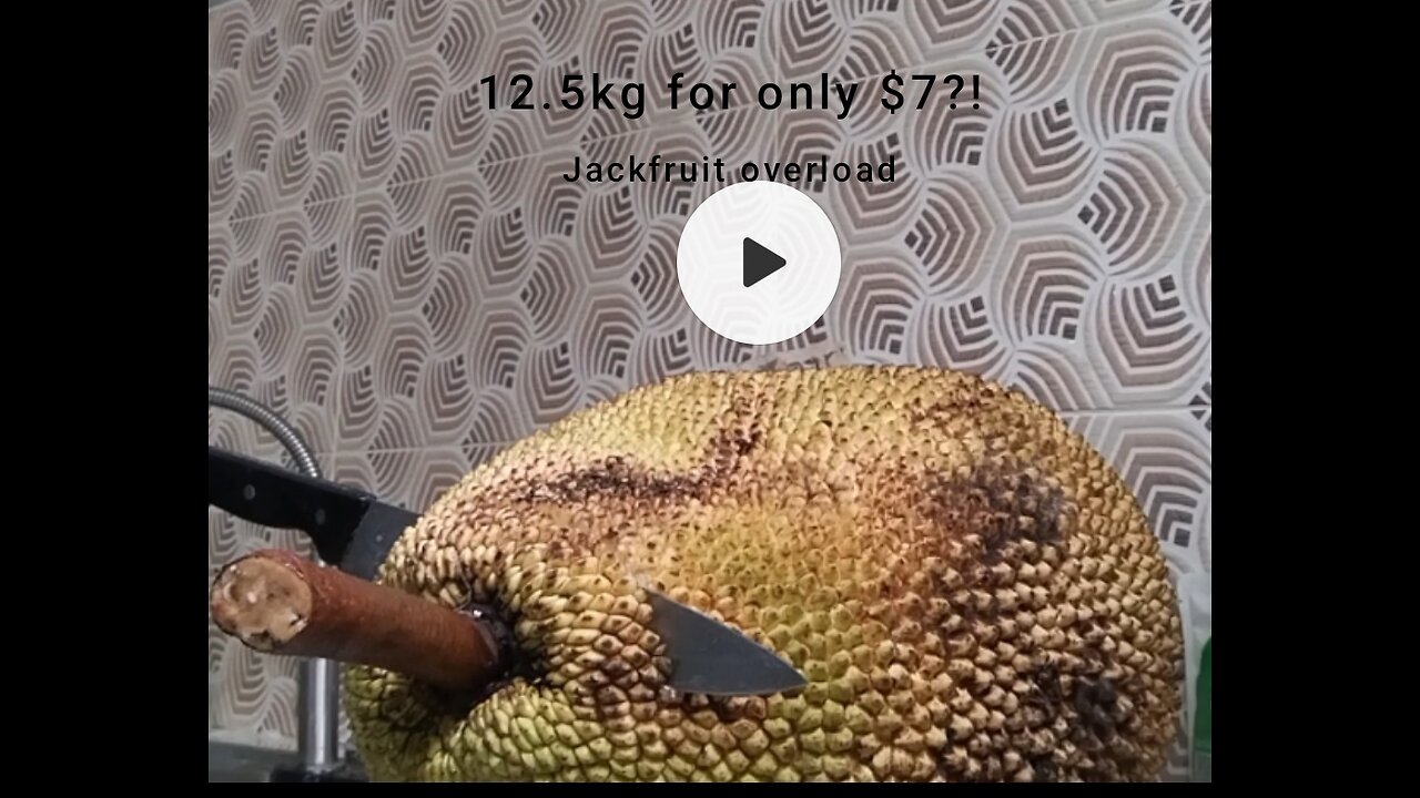 Frustrated Fruit Ninja| Jackfruit slicing| $7 for almost 13kg fruit| Fruit 2024
