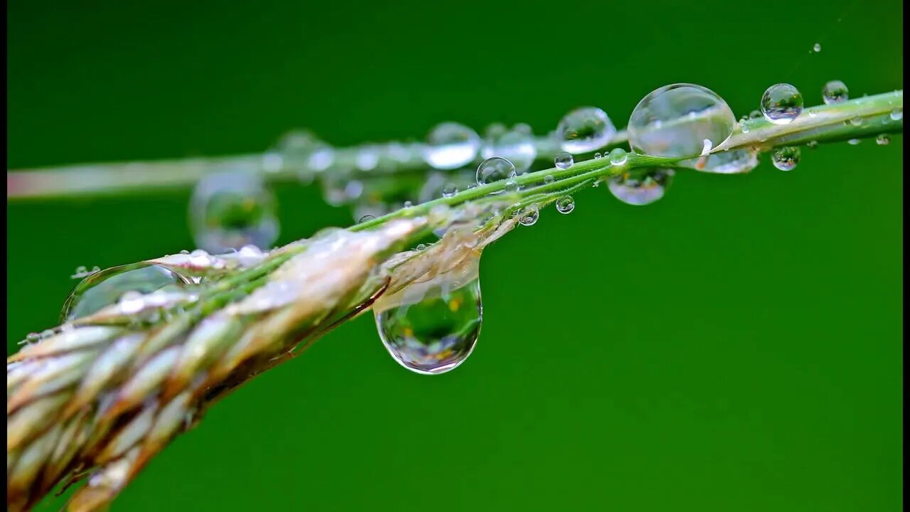 Rain Sounds For Sleeping With Thunderstorm