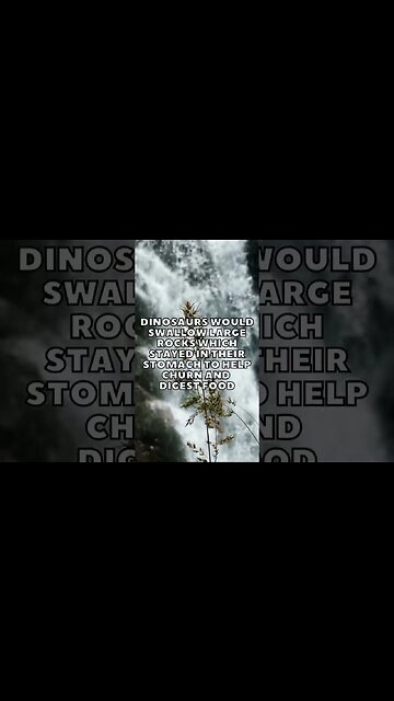 Incredible Random Facts That Will Expand Your Mind! [2023] #shorts #facts #viralshorts #fyp #life