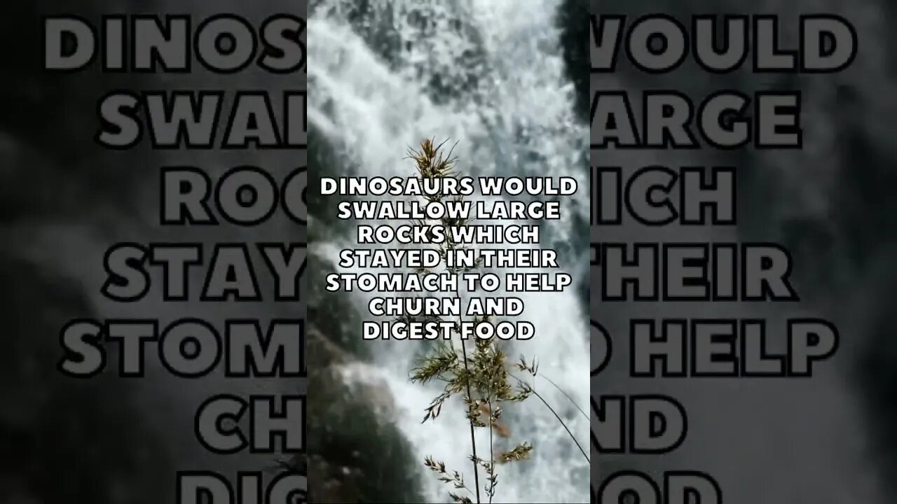 Incredible Random Facts That Will Expand Your Mind! [2023] #shorts #facts #viralshorts #fyp #life
