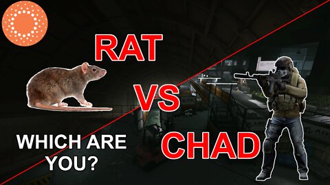 THE REAL RATS AND CHADS! SURVIVOR CLASSES IN ESCAPE FROM TARKOV!