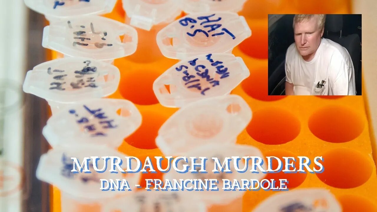 DNA Evidence In the Murdaugh Murder Trial, Is it Enough To Convict? The Interview Room