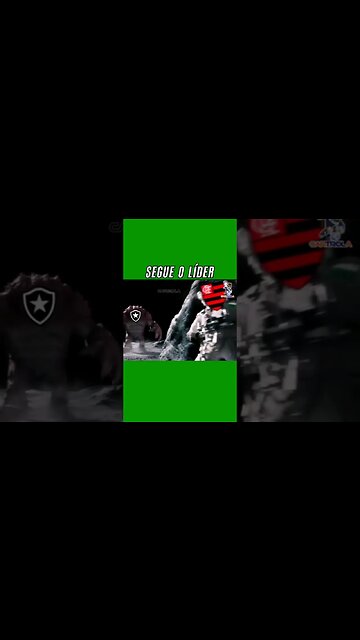 🔥🚨ATENÇÃO! IMAGENS EXCLUSIVAS DE BOTAFOGO X FLAMENGO. 🤣#botafogo #brasileirão #segueolíder