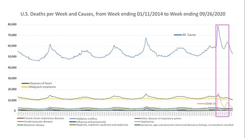 There are no excess deaths caused by covid-19!