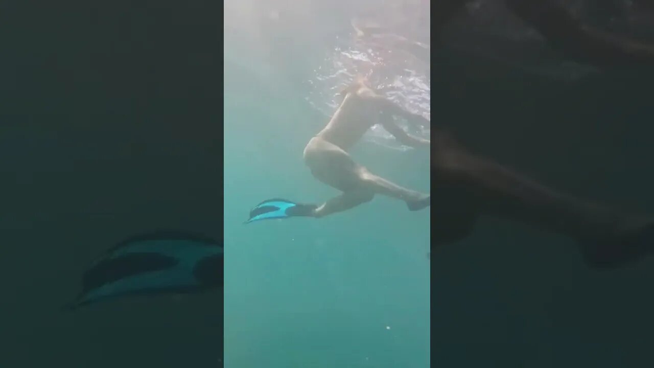 Do you have a favorite dive spot? 🤿